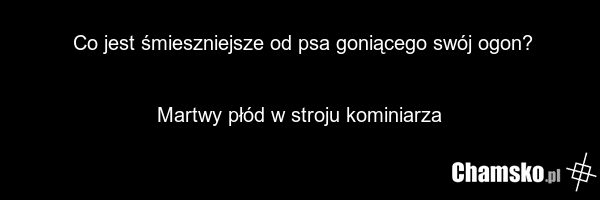 Co jest śmieszniejsze od psa goniącego swój ogon? Martwy płód w stroju kominiarza