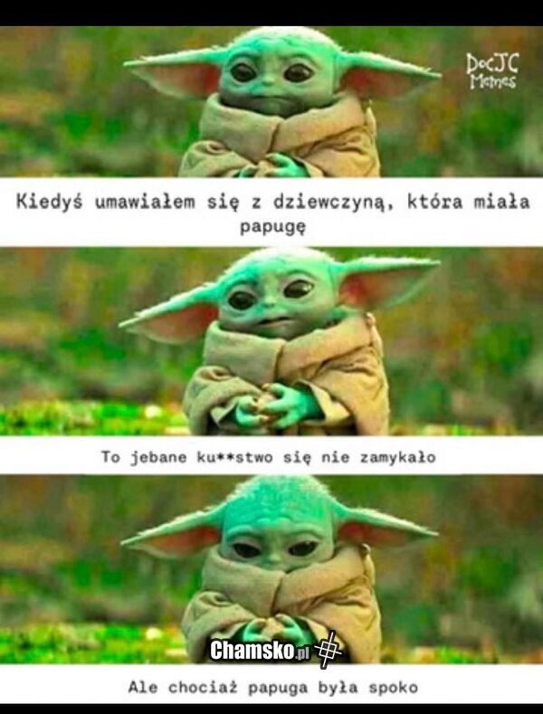 Laska z papugą