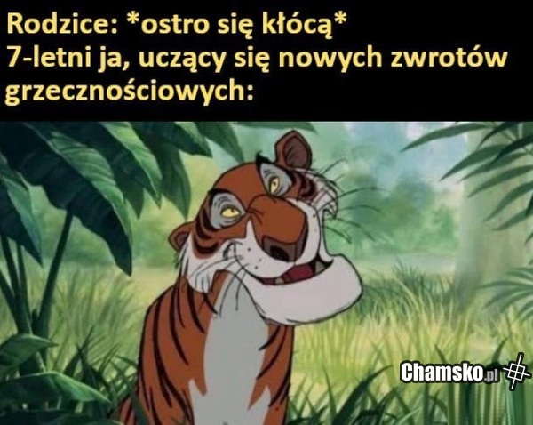 Dużo nowych wyrazów