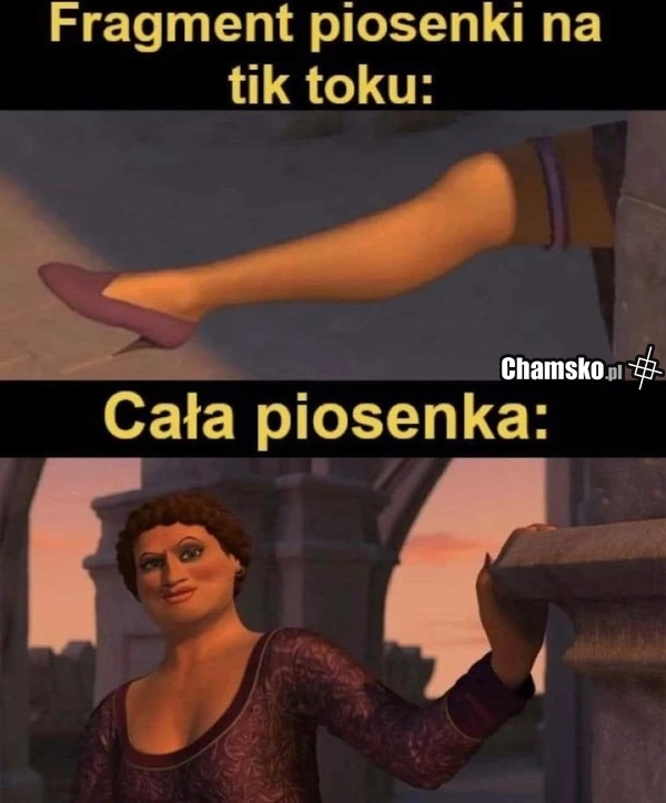 SKrót piosenki