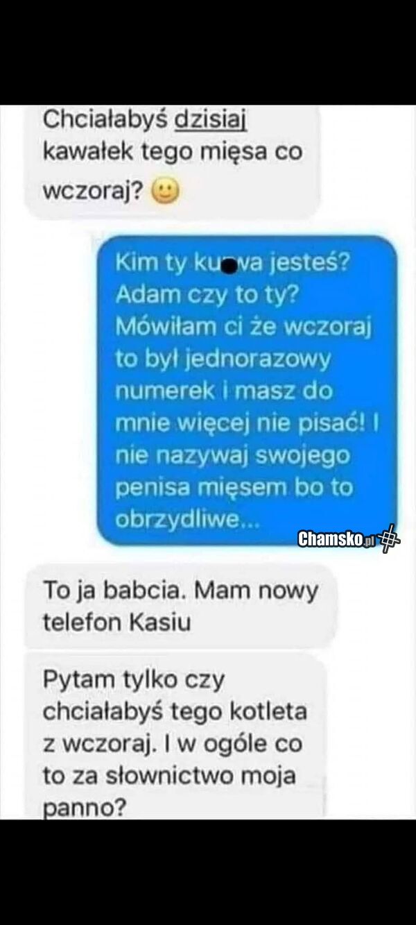 Kawał mięsa