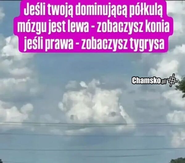 A Ty co widzisz?