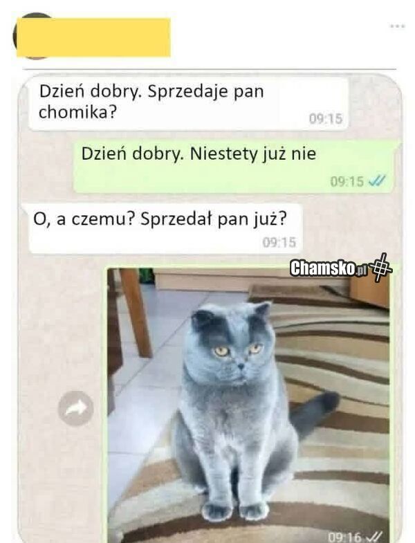 Sprzedam chomika