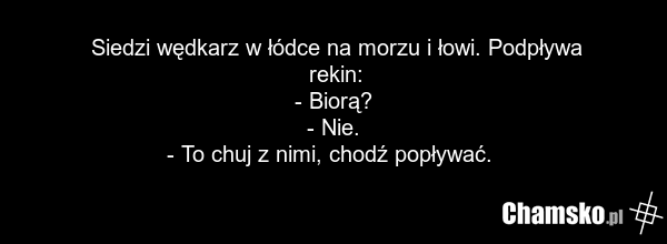 Siedzi wędkarz w łódce na morzu i łowi. Podpływa rekin: - Biorą? - Nie. - To chuj z nimi, chodź popływać.