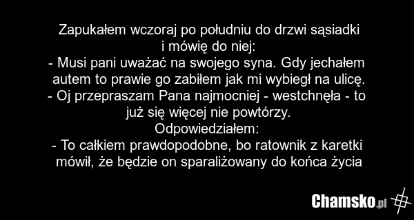 Zapukałem wczoraj po południu do drzwi sąsiadki i mówię do niej: - Musi pani uważać na swojego syna. Gdy jechałem autem to prawie go zabiłem jak mi wybiegł na ulicę. - Oj przepraszam Pana najmocniej - westchnęła - to już się więcej nie powtórzy. Odpowiedziałem: - To całkiem prawdopodobne, bo ratown…