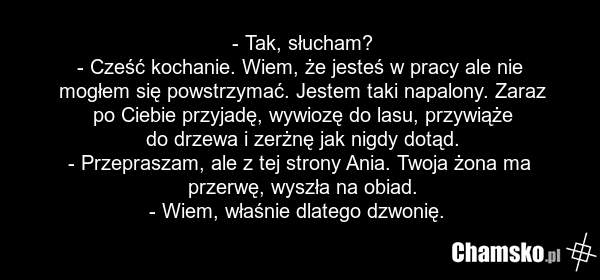 - Tak, słucham? - Cześć kochanie. Wiem, że jesteś w pracy ale nie mogłem się powstrzymać. Jestem taki napalony. Zaraz po Ciebie przyjadę, wywiozę do lasu, przywiąże do drzewa i zerżnę jak nigdy dotąd. - Przepraszam, ale z tej strony Ania. Twoja żona ma przerwę, wyszła na obiad. - Wiem, właśnie dlat…