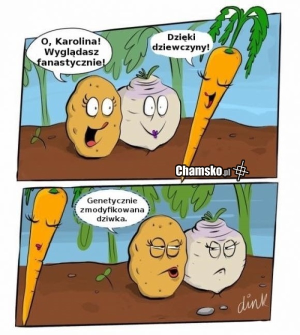 Warzywa GMO