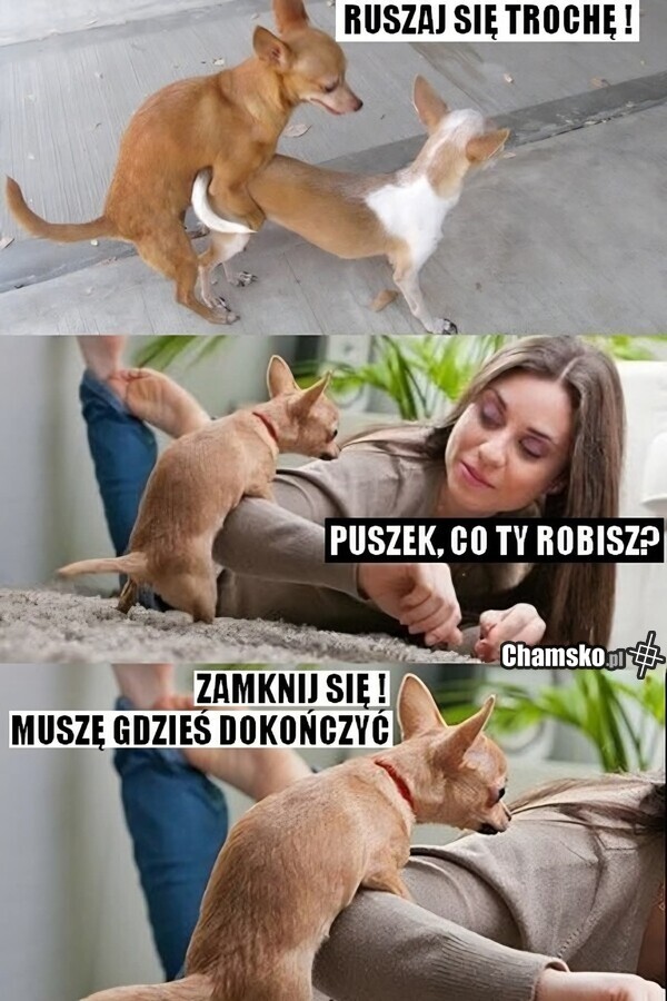 Puszek musiał dokończyć