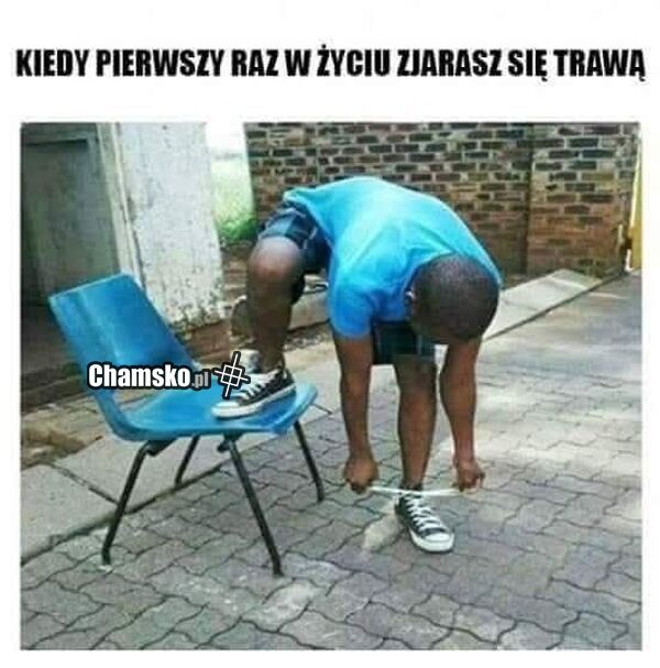 Po trawie