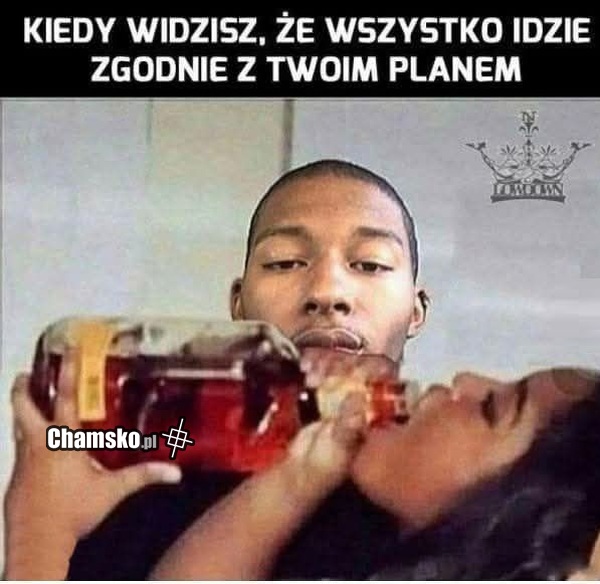 Zgodnie z planem