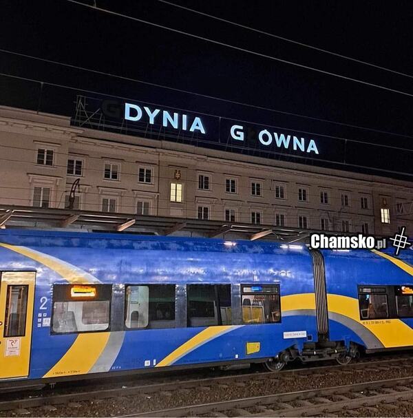 Dynia