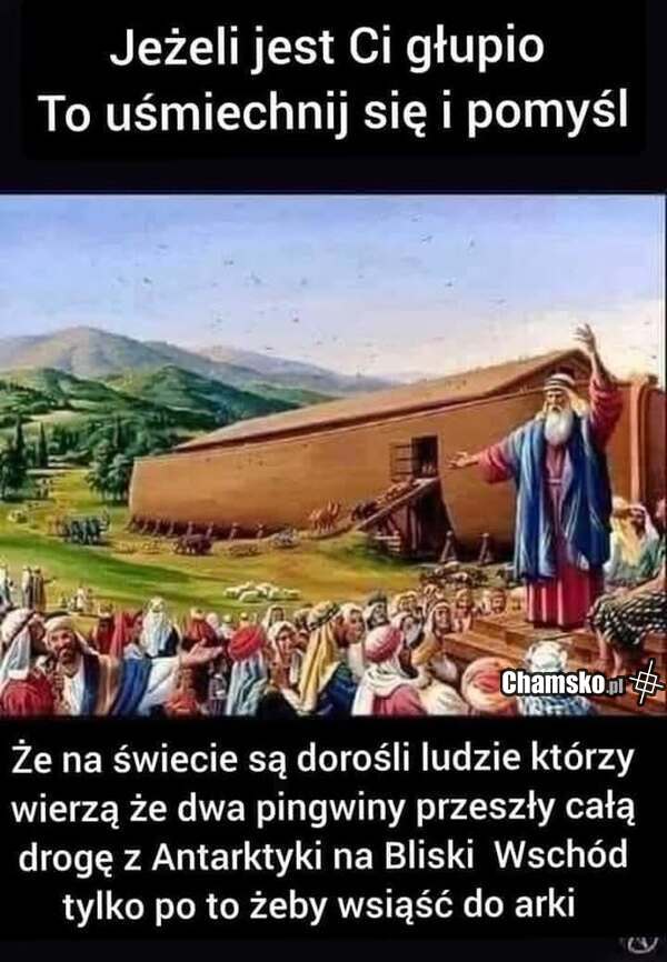 Może przyleciały...