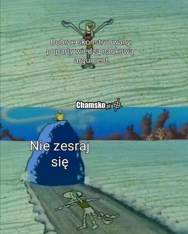 Rozmowy w internecie