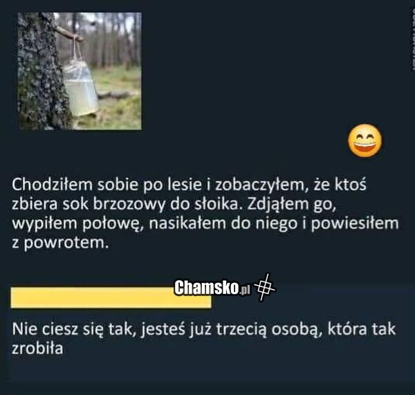 Słoik w lesie