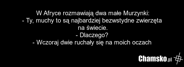 W Afryce rozmawiają dwa małe Murzynki: - Ty, muchy to są najbardziej bezwstydne zwierzęta na świecie. - Dlaczego? - Wczoraj dwie ruchały się na moich oczach