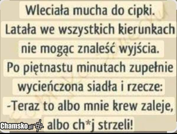 Mucha