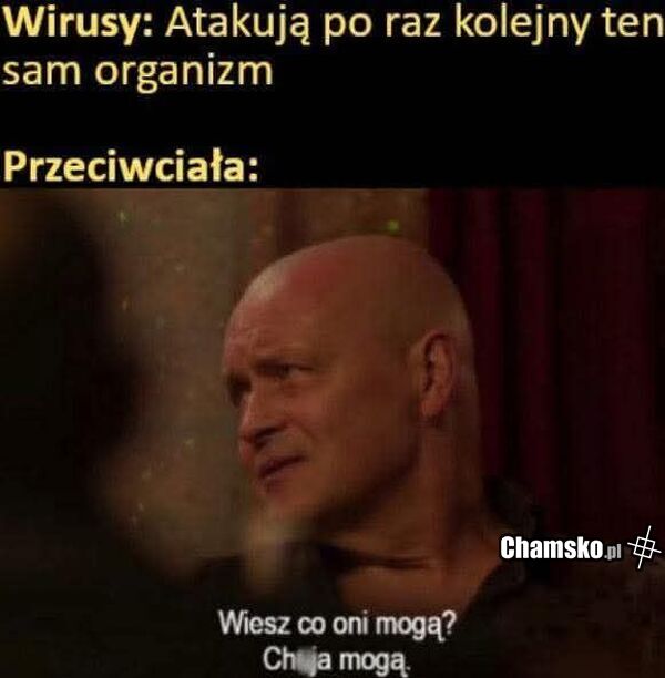 Wirusy