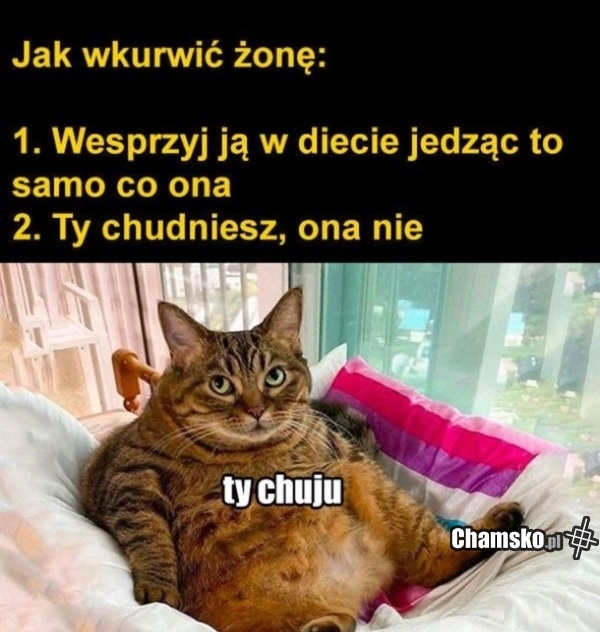 Gruba żona
