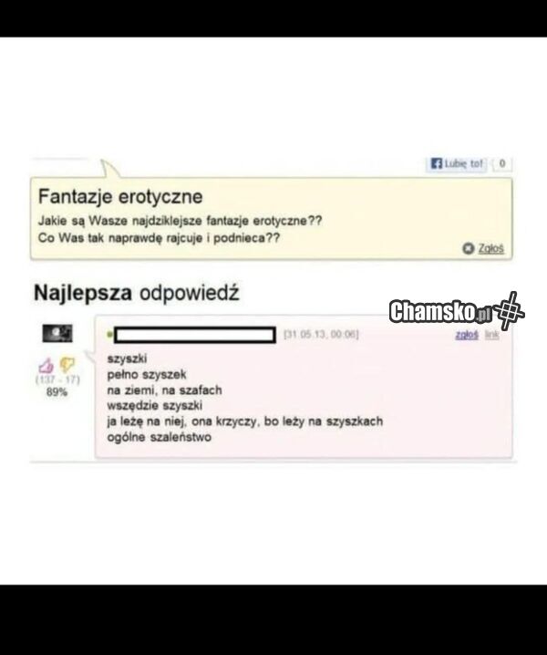 Fantazja z szyszkami