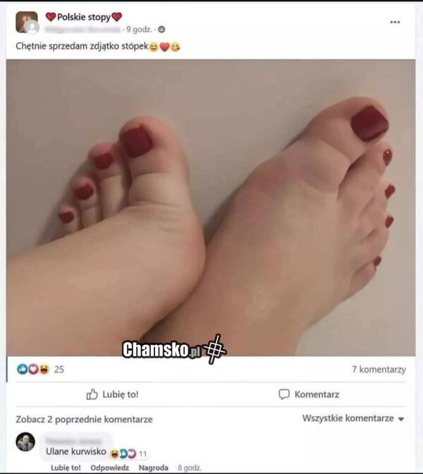 Sprzedam zdjęcia