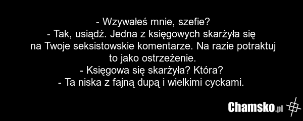 - Wzywałeś mnie, szefie? - Tak, usiądź. Jedna z księgowych skarżyła się na Twoje seksistowskie komentarze. Na razie potraktuj to jako ostrzeżenie. - Księgowa się skarżyła? Która? - Ta niska z fajną dupą i wielkimi cyckami.