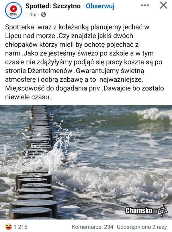 Dziewczyny szukają frajerów