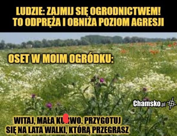Ogrodnictwo