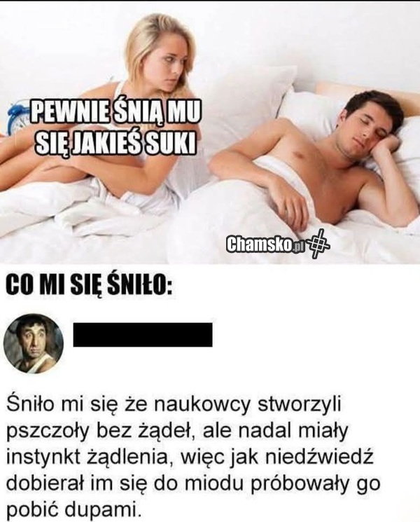 Niesamowity sen