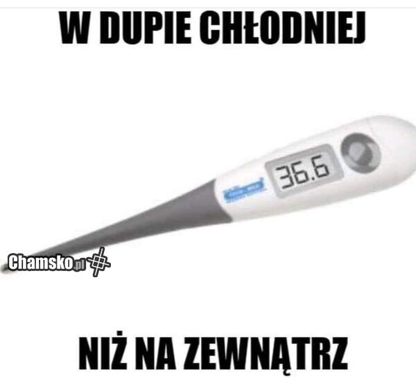 Chłodniej