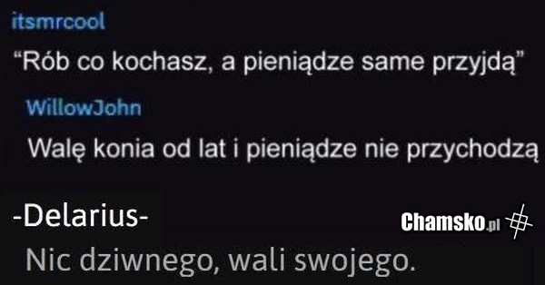 Rób co kochasz