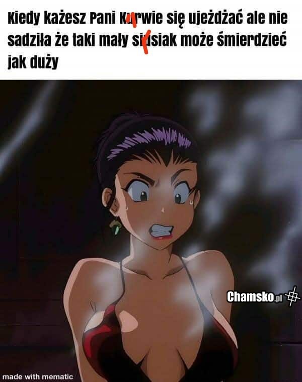 Ujeżdżanie