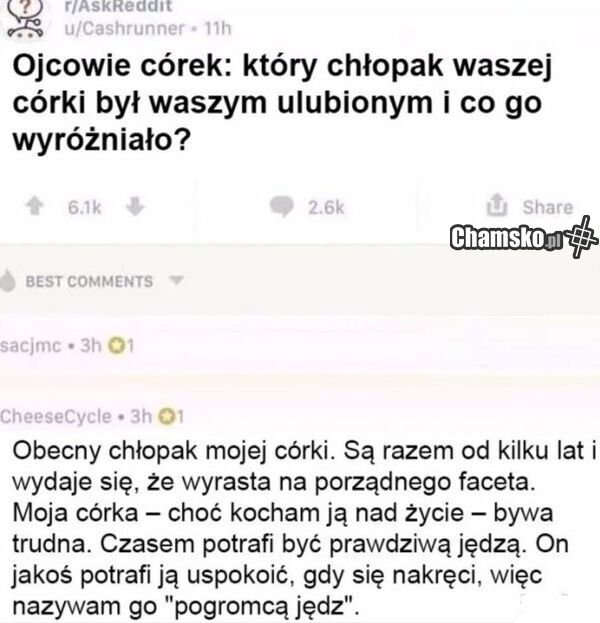 Pogromca