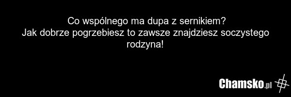 Co wspólnego ma dupa z sernikiem? Jak dobrze pogrzebiesz to zawsze znajdziesz soczystego rodzyna!