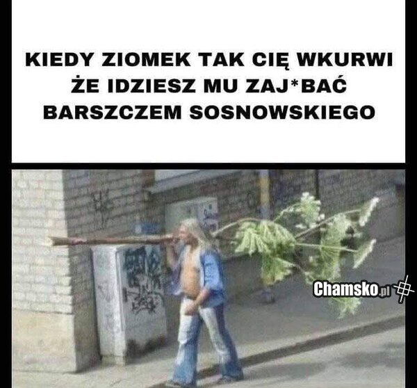 Gdy ziomek Cie wkurzy