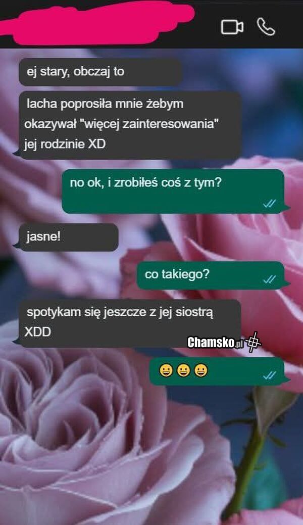 Zainteresowanie rodziną
