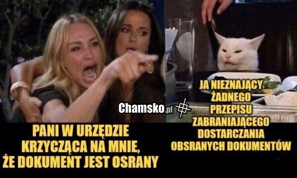 Oddanie dokumentów