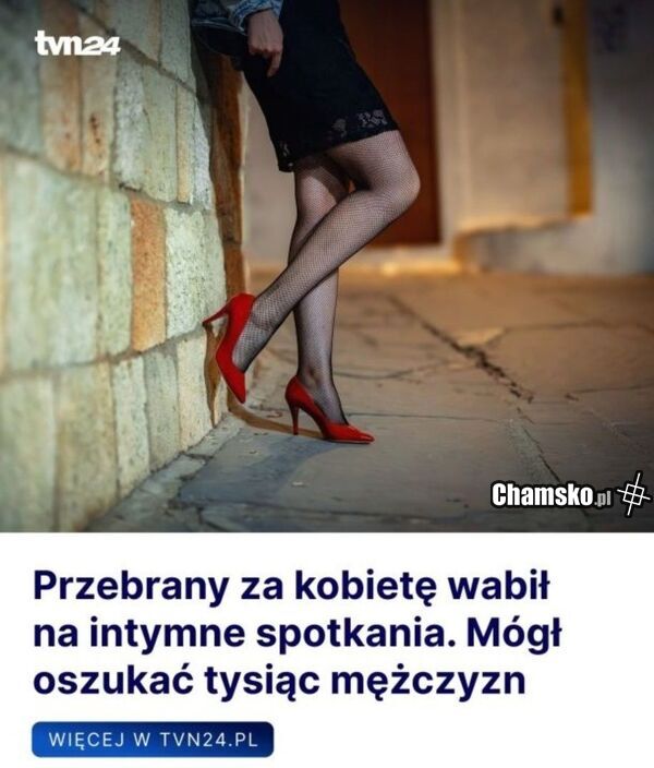 I żaden się nie zorientował