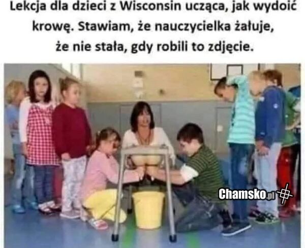 Nauka dojenia