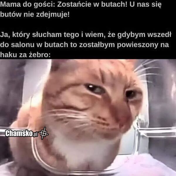 Chodzenie w butach w domu