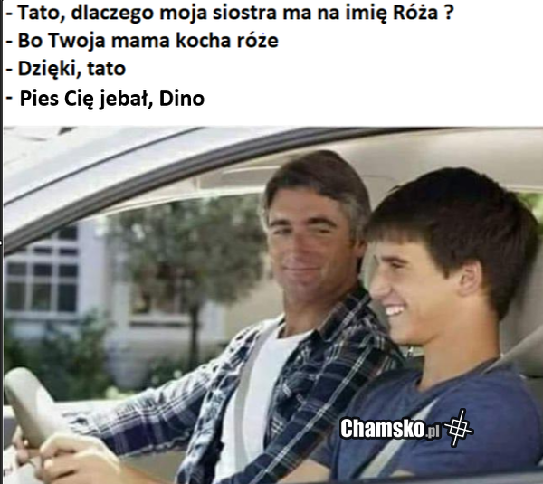 Róża