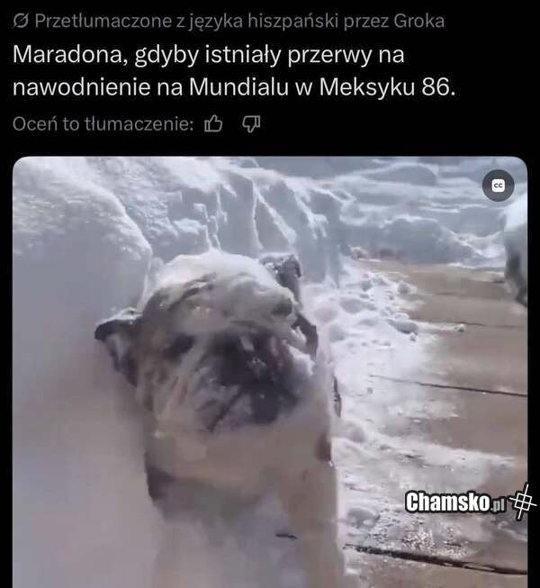 Przerwa na nawodnienie