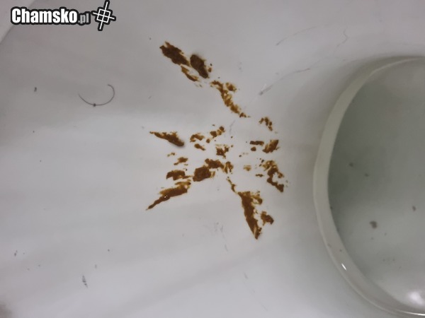 Hajlujący diabeł
