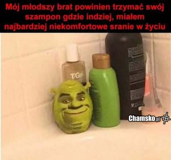 Shrekowy szampon