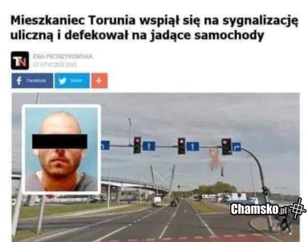 Jedziesz sobie spokojnie drogą a tu na szybę spada Ci...