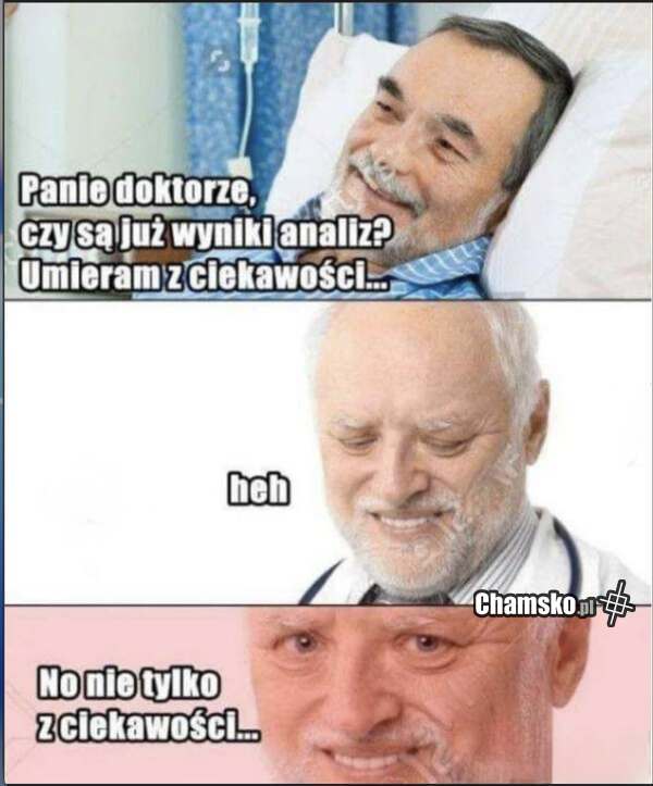 Wyniki analiz