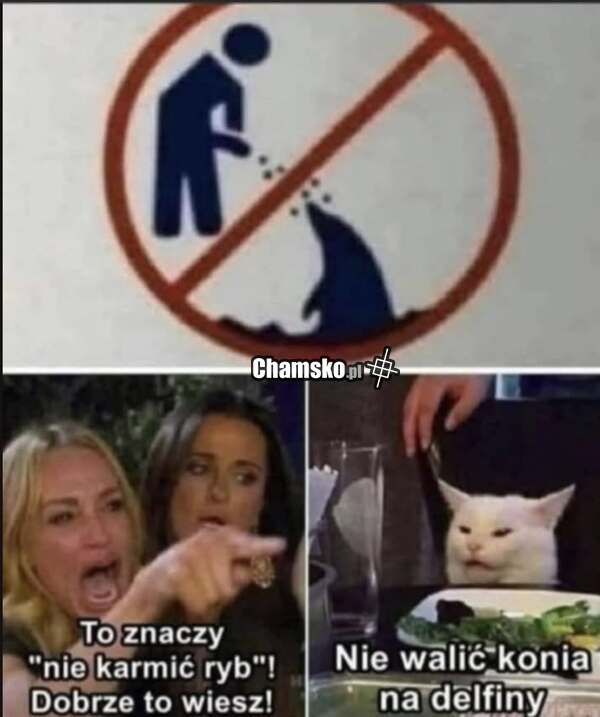 Co oznacza ten znak?