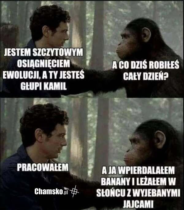 Osiągnięcie ewolucji