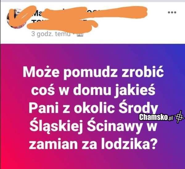 Złota rączka szuka zleceń