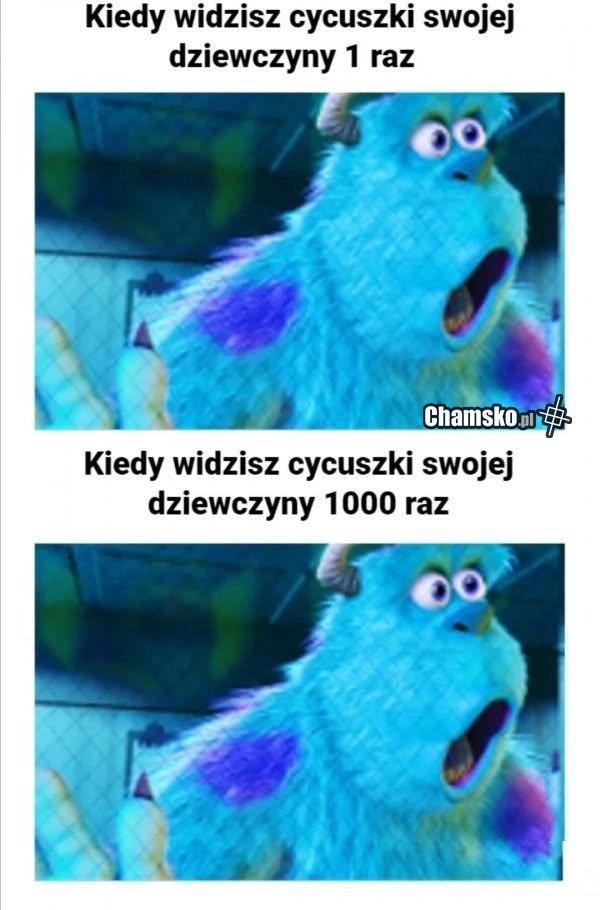 Cycki