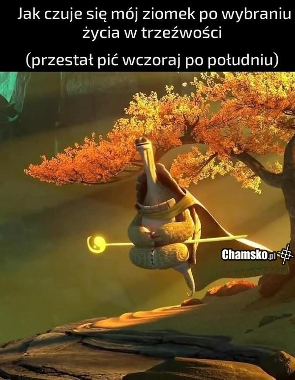 Życie bez alkoholu